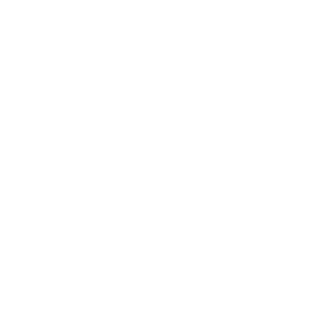 bonded-warehouse-icon