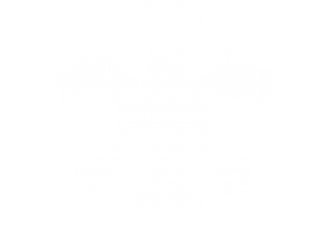 snowflake-icon
